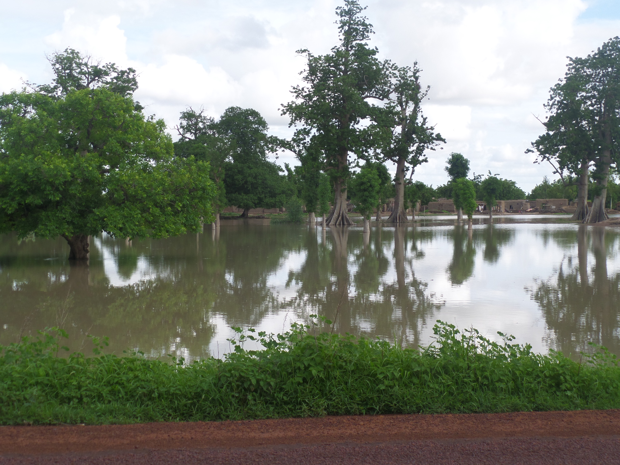 Website Launched for Mali’s Agency for the Environment and Sustainable Development