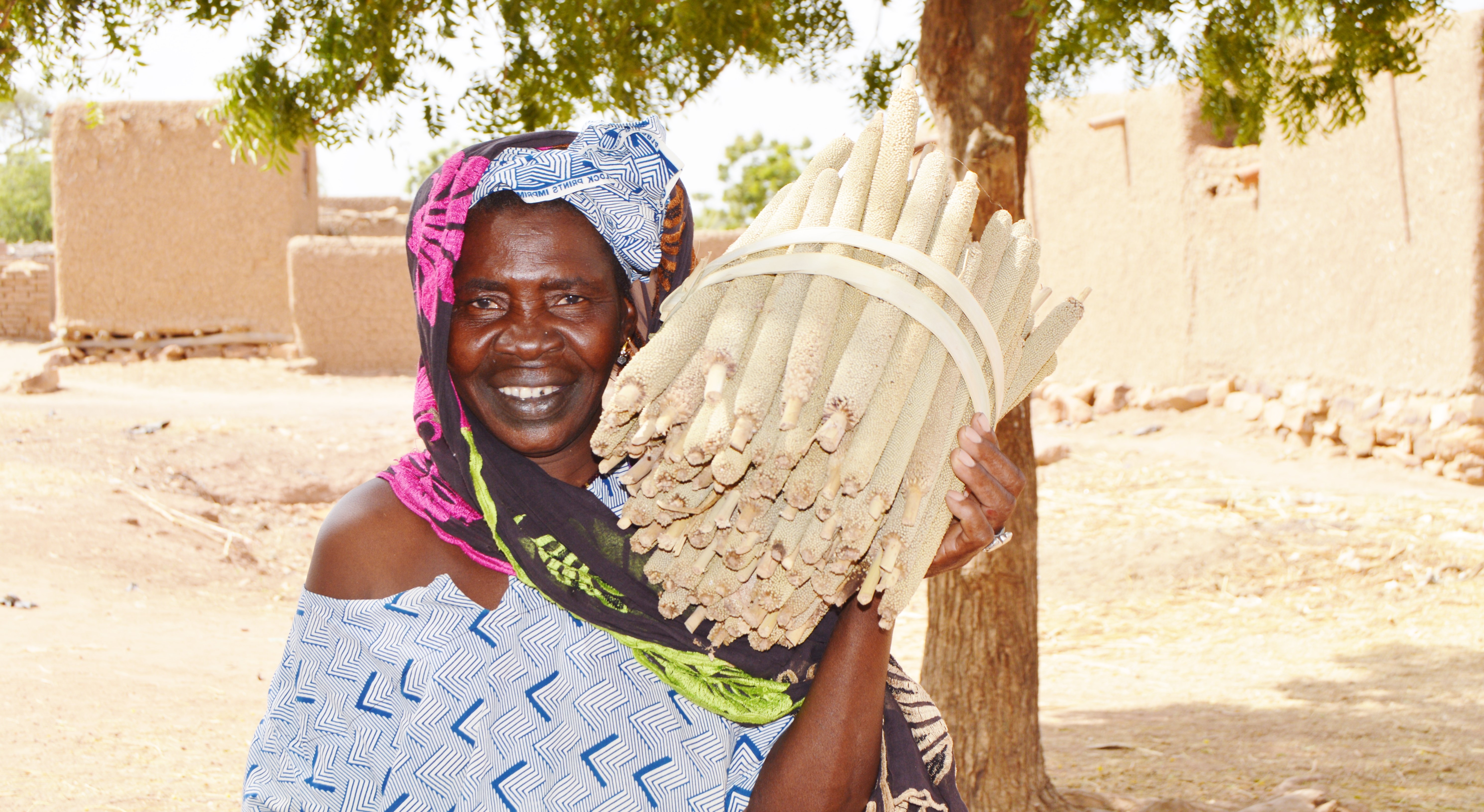 Climate-Smart Agriculture Planting Hope in Mali
