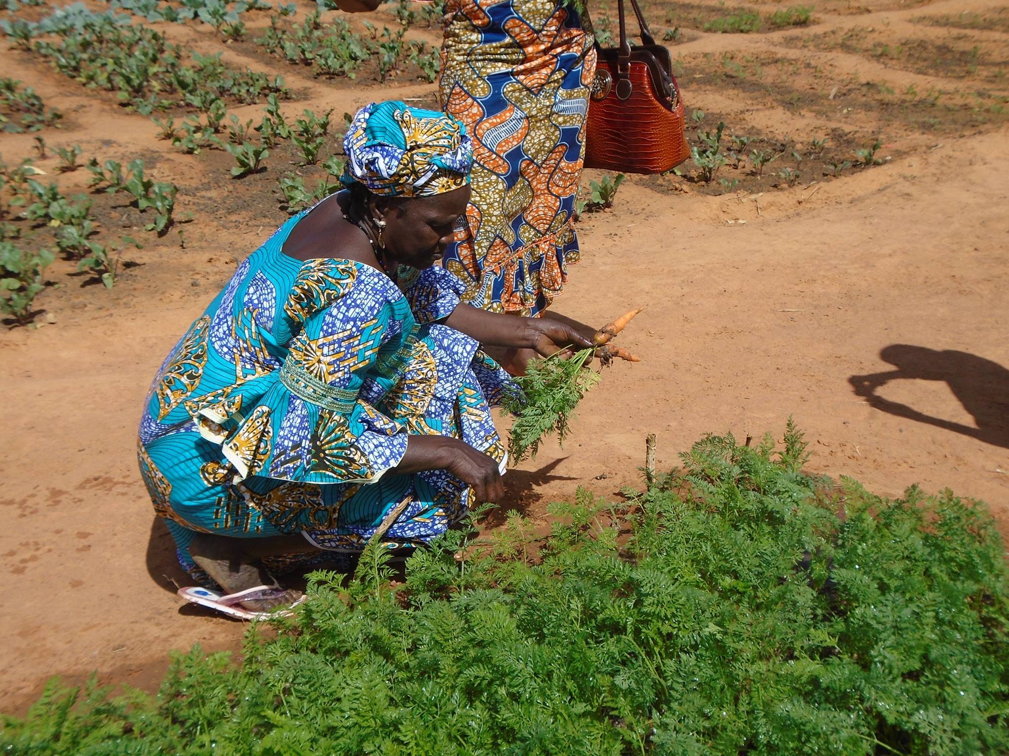 A New Look at Progress: Adapting to Climate Change in Mali