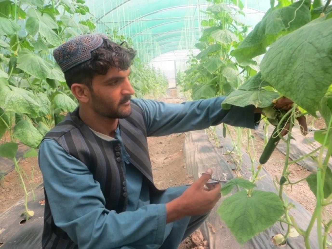 Kandahar Food Zone Main Image