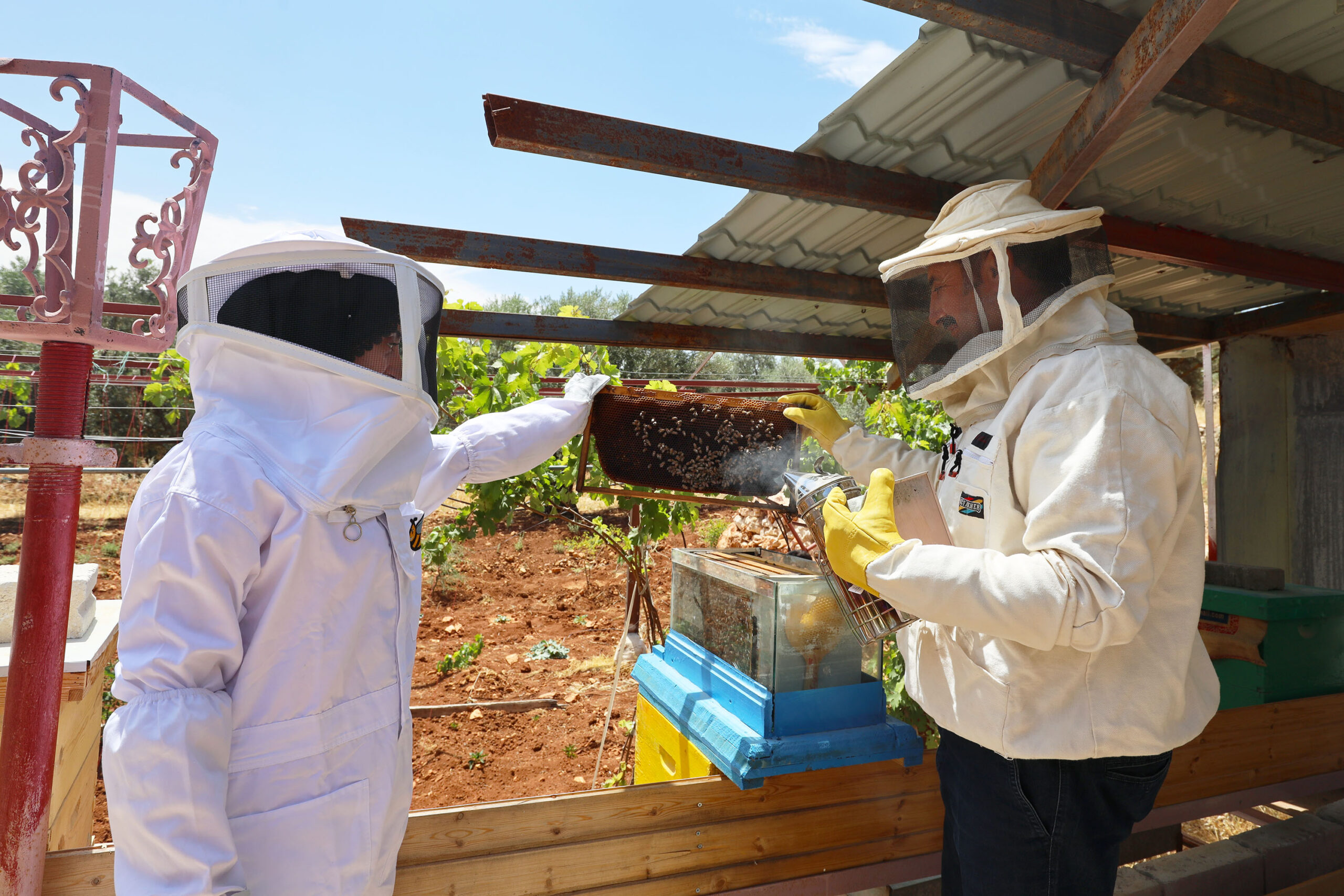 Beekeepers in Jordan Expand Businesses with Smart DESERT Support