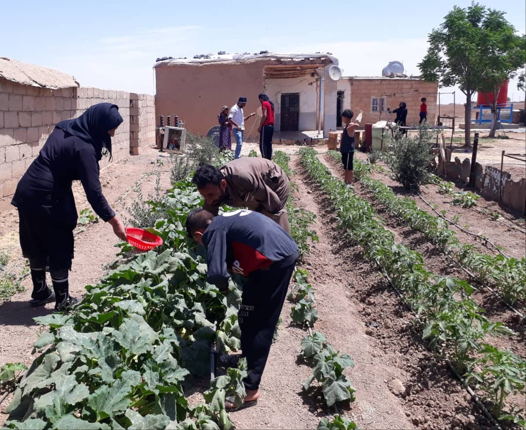 Syria Emergency Food Security Programs Main Image