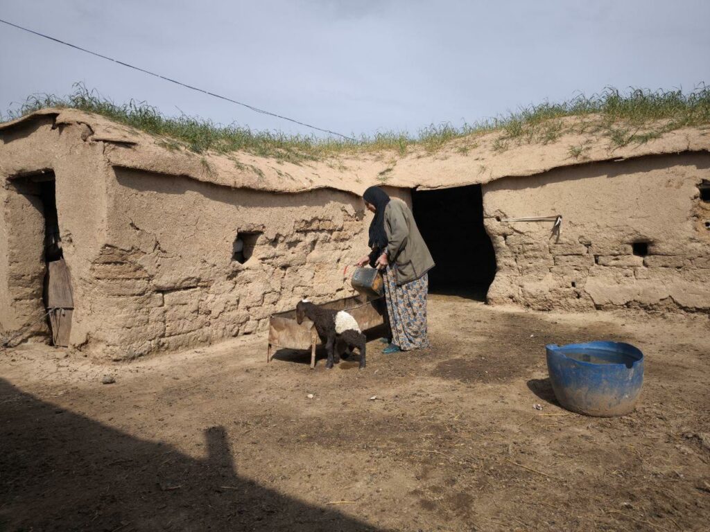 Bread Distributions Save Lives in Northeast Syria - Blumont