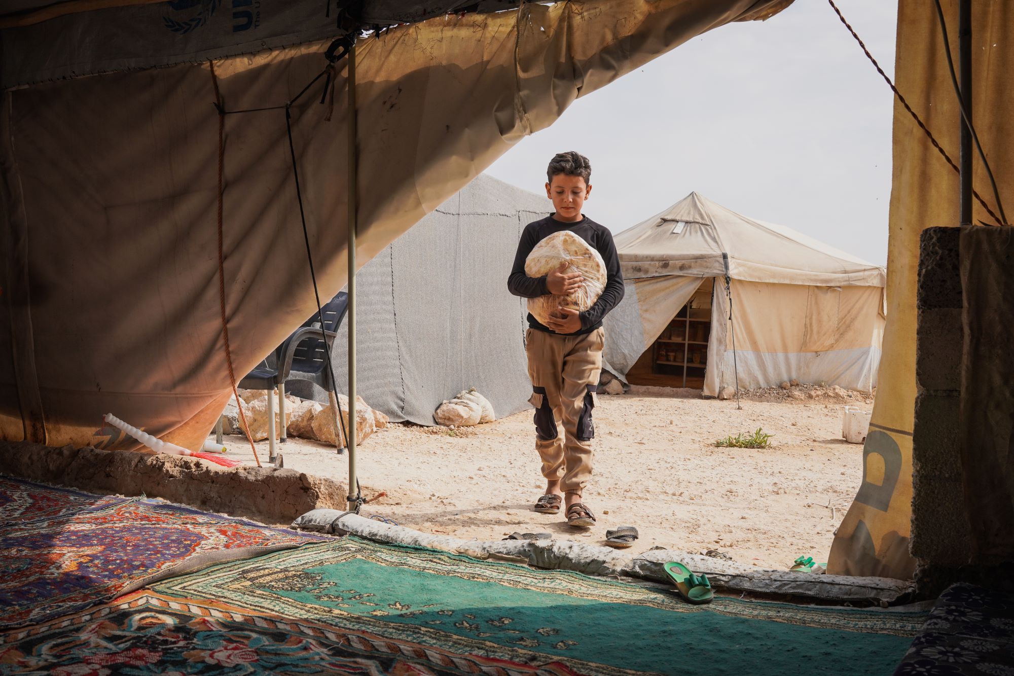Supporting Displaced Families in Syria Beyond Food Security